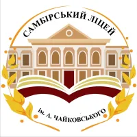 ЛІЦЕЙ ІМ. АНДРІЯ ЧАЙКОВСЬКОГО ПОВЕРНУВ САМБІР У ВИЩУ ЛІГУ УКРАЇНСЬКОЇ ОСВІТИ