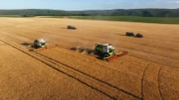 НА ПОЛЯХ ТРИВАЄ ЗБИРАЛЬНА КАМПАНІЯ